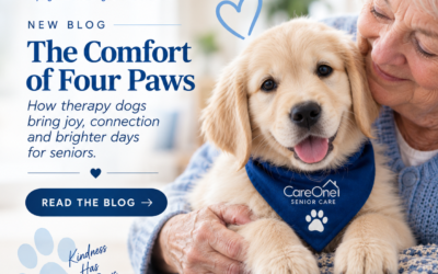 The Comfort of Four Paws: Therapy Dogs & Seniors